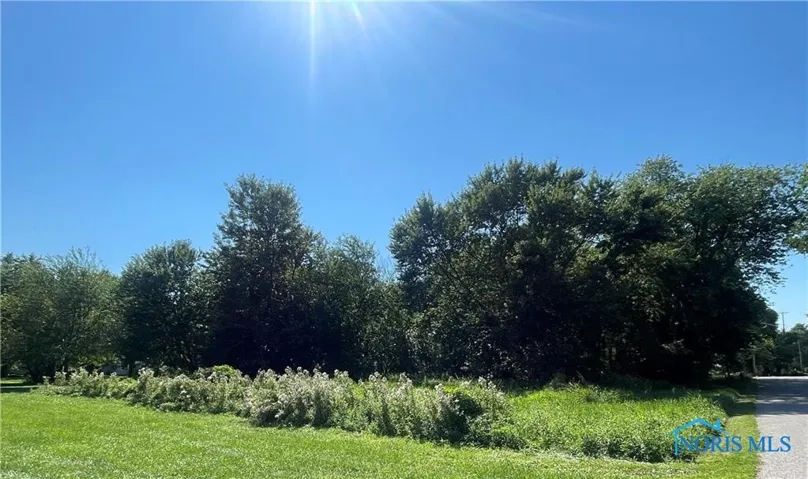 12504 La Fontaine Drive, Curtice, Ohio 43412, ,Land,For Sale,La fontaine,6134251
