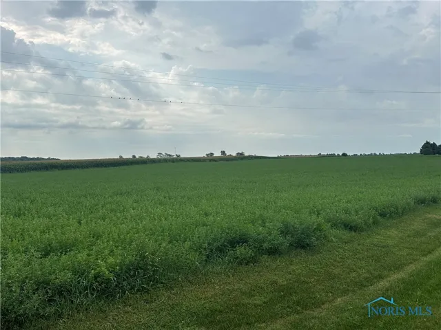 0 Township Road 175, Vanlue, Ohio 45890, ,Land,For Sale,Township Road 175,6134494