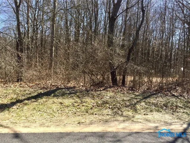 12257 Harriet Road, Swanton, Ohio 43558, ,Land,For Sale,Harriet,6134791
