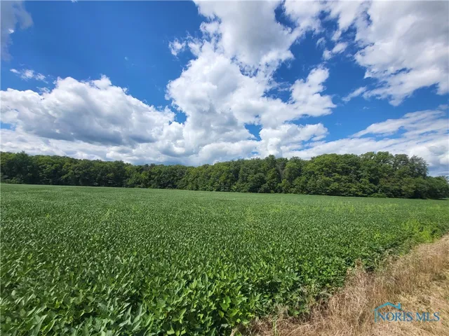 0 Dixie Highway, Cygnet, Ohio 43413, ,Land,For Sale,Dixie,6134992