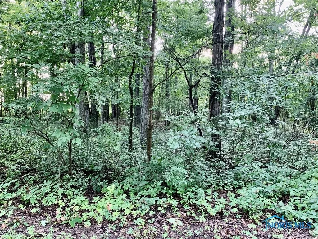 0 Troon Court, Bryan, Ohio 43506, ,Land,For Sale,Troon,6134989