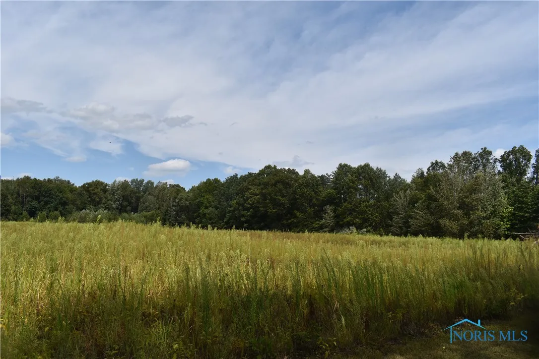 12036 Archbold Whitehouse Road, Whitehouse, Ohio 43571, ,Land,For Sale,Archbold Whitehouse,6135472
