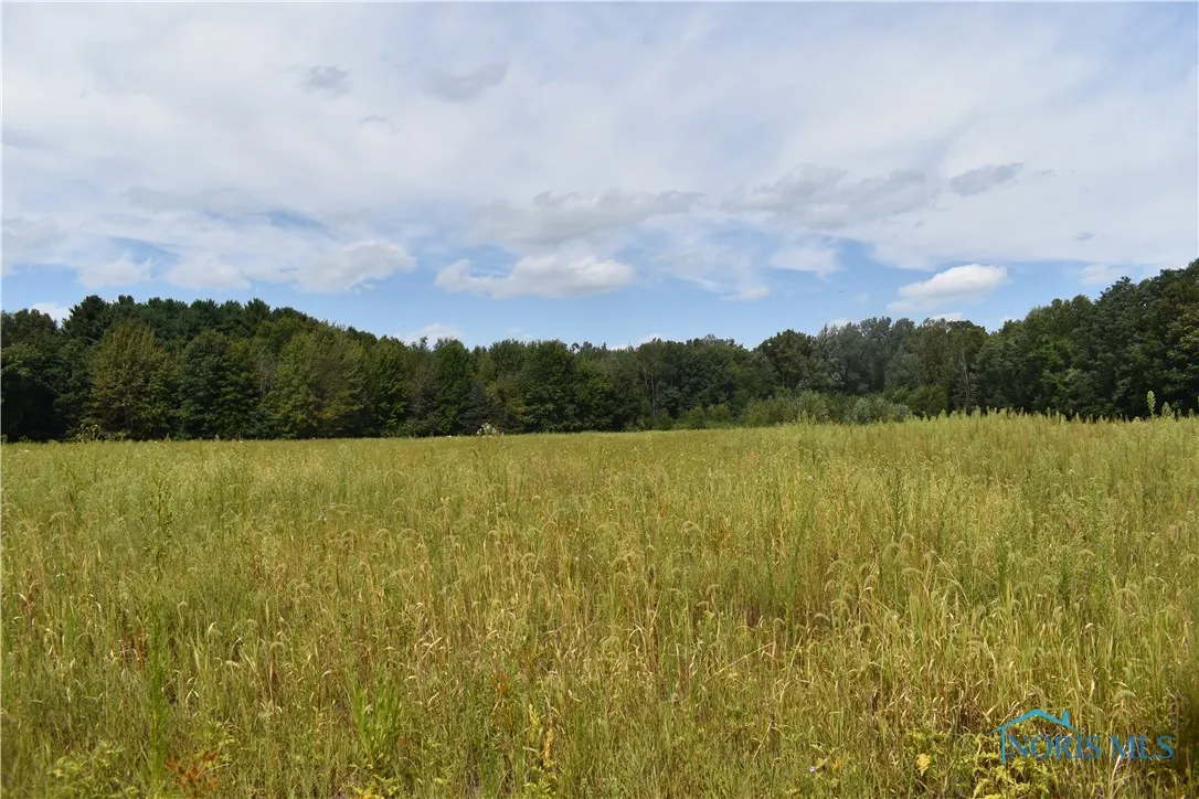 12036 Archbold Whitehouse Road, Whitehouse, Ohio 43571, ,Land,For Sale,Archbold Whitehouse,6135472