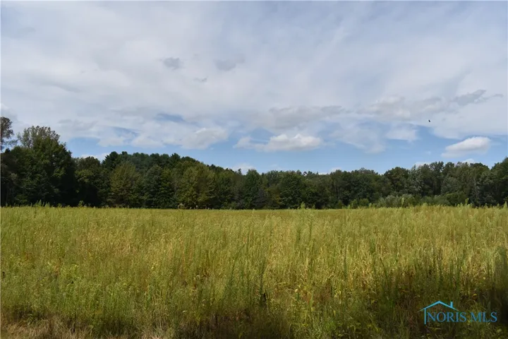 12036 Archbold Whitehouse Road, Whitehouse, Ohio 43571, ,Land,For Sale,Archbold Whitehouse,6135472