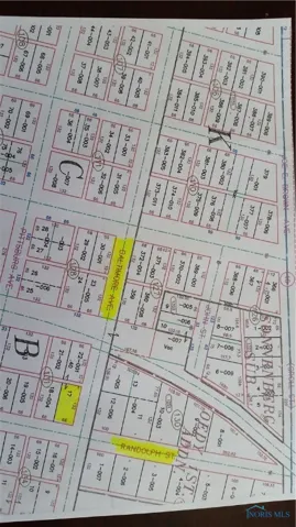 Lot 17 Randolph Street, Holgate, Ohio 43527, ,Land,For Sale,Randolph,6057525