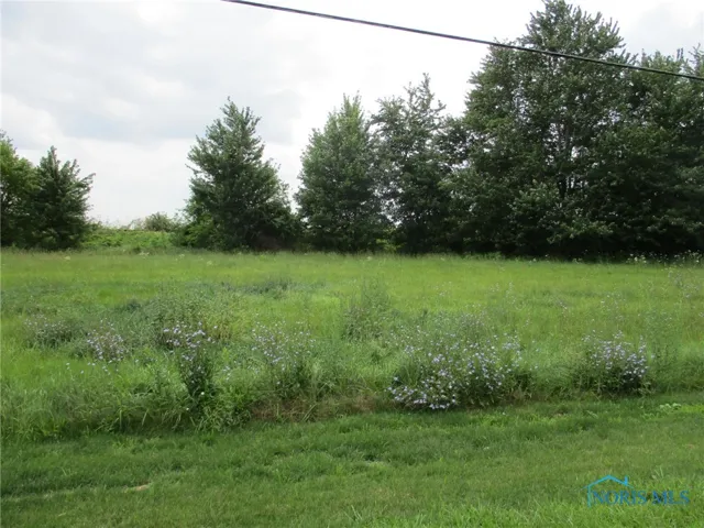 307/308 Railway Avenue, Holgate, Ohio 43527, ,Land,For Sale,Railway,6074322