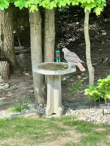 1170